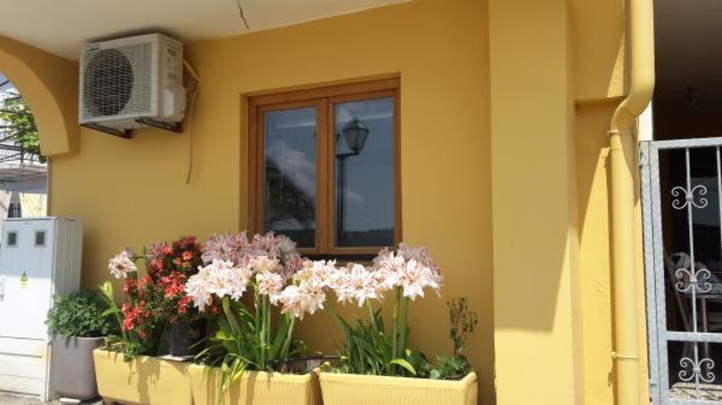 Image 3812390 - 22
