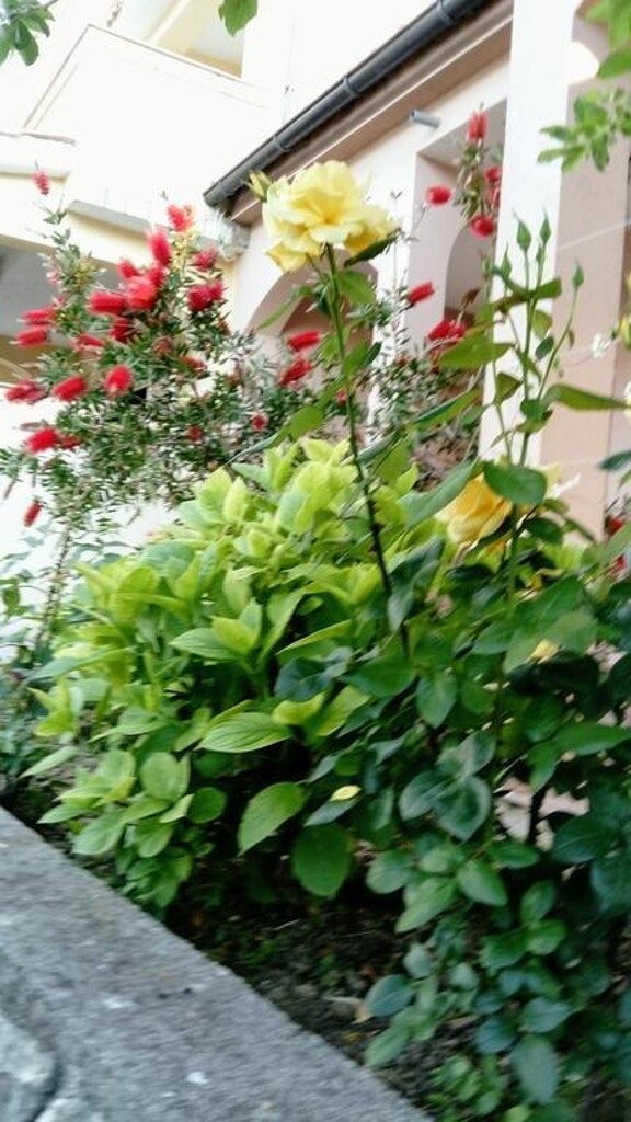 Image 3813404 - 3