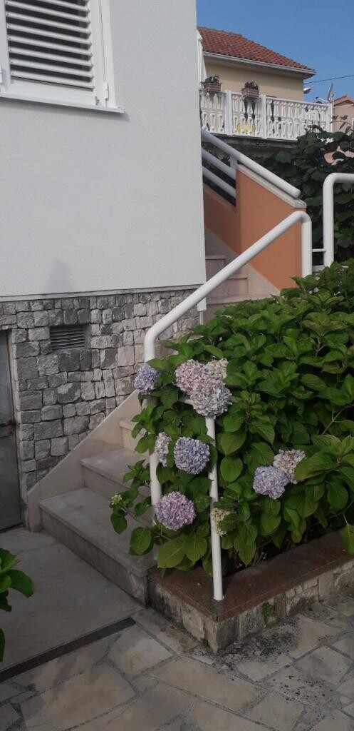 Image 3814533 - 2