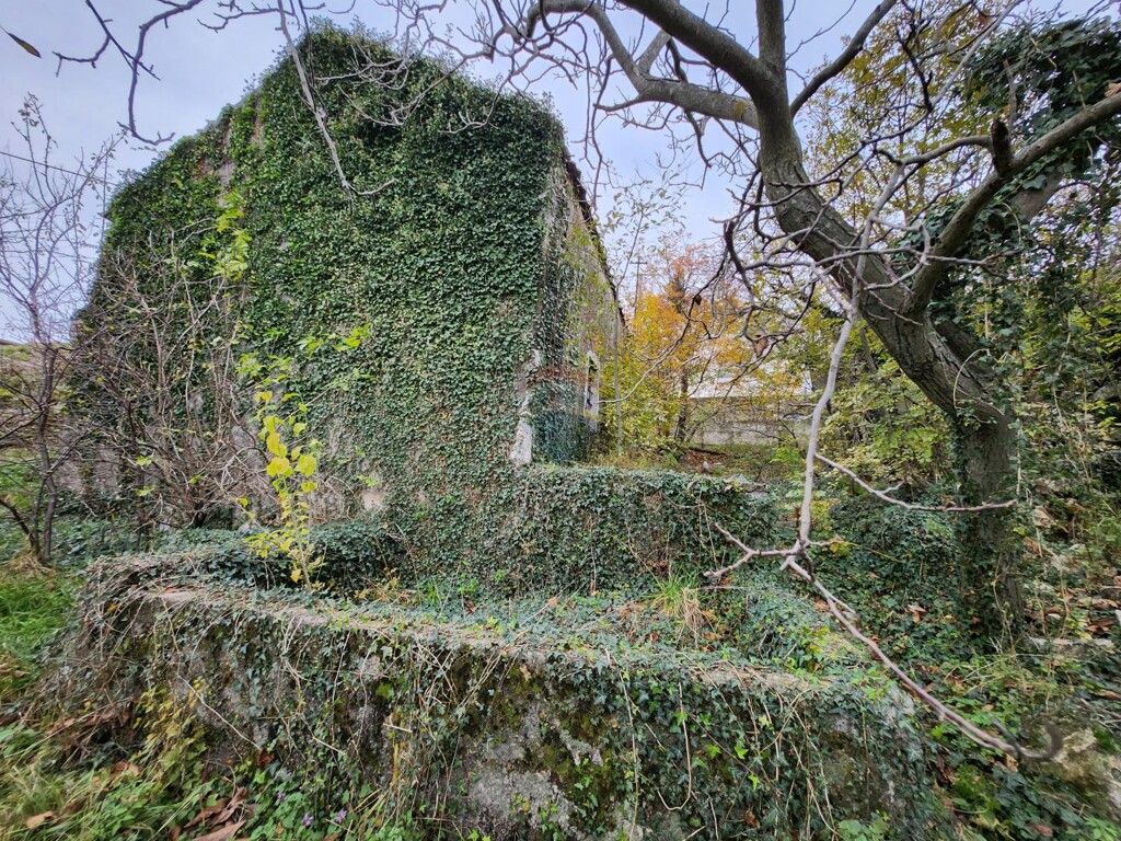 Image 9