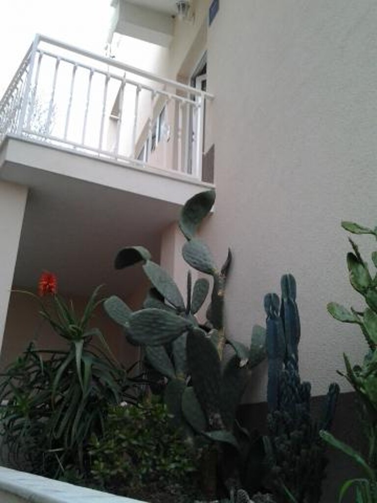 Image 3811575 - 3