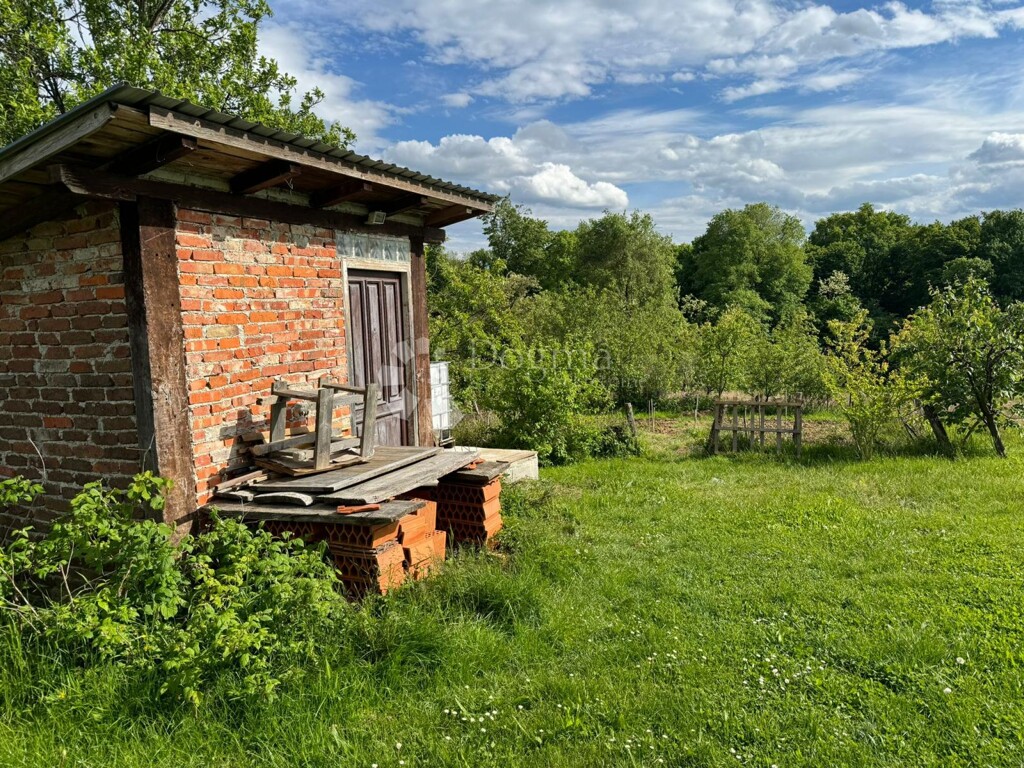 Image 8