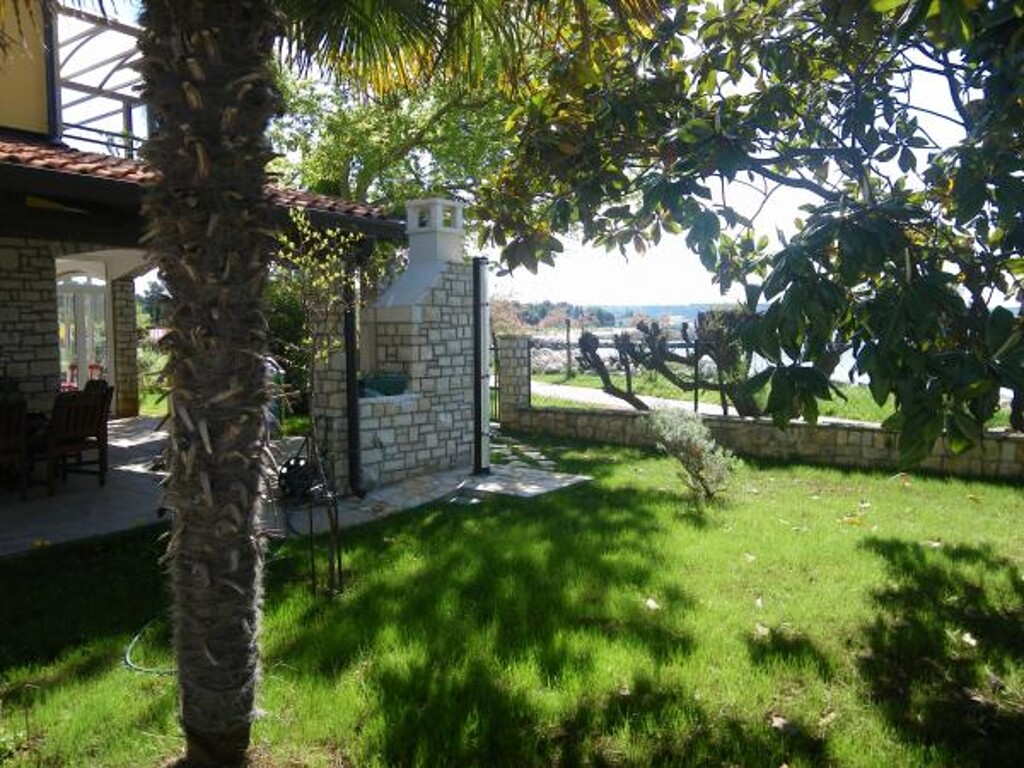 Image 3815330 - 6