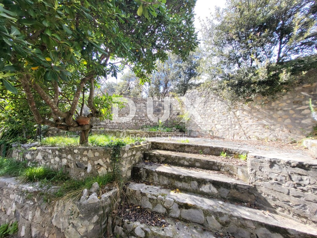 Image 20