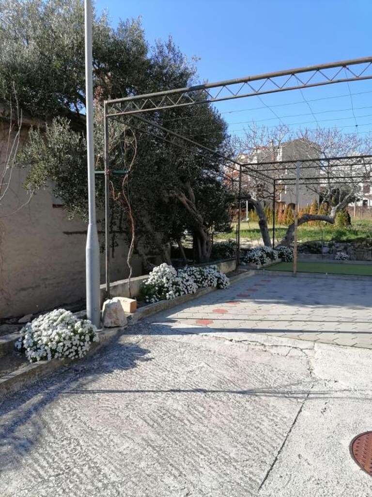 Image 3838824 - 6