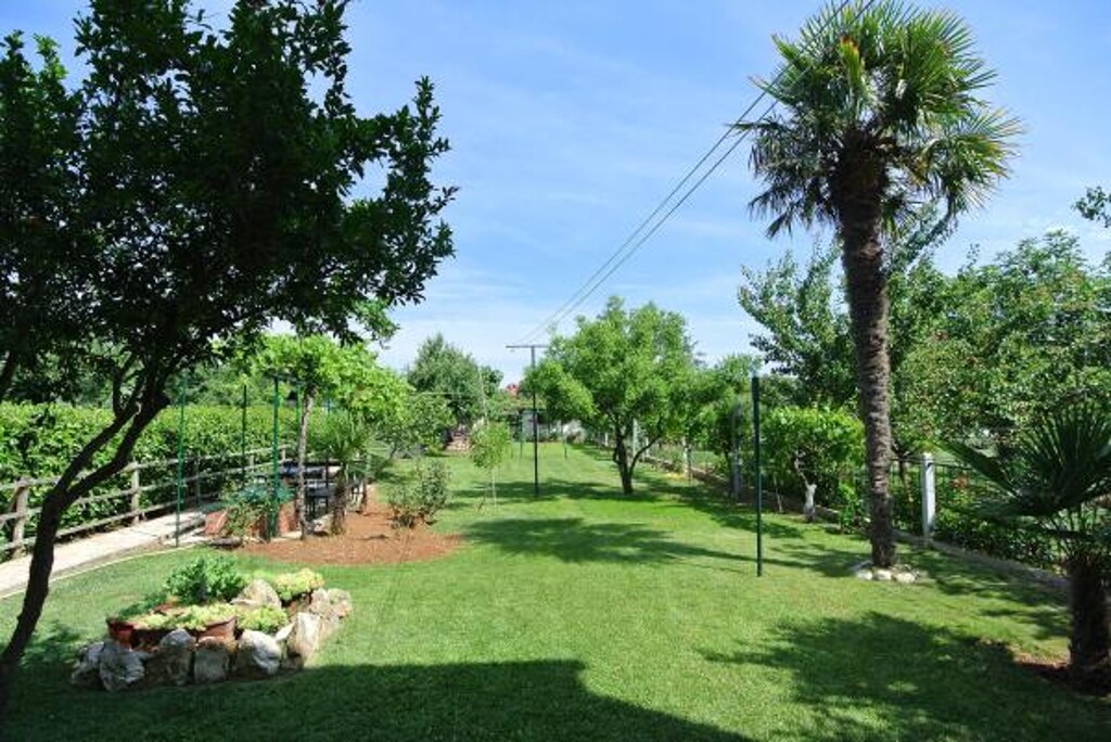 Image 3810804 - 8