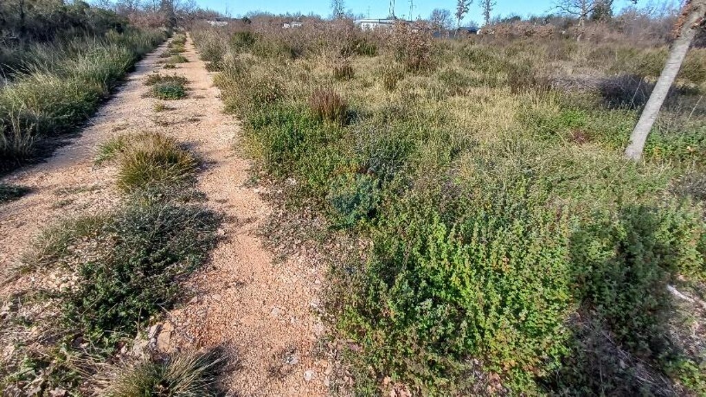 Image 9