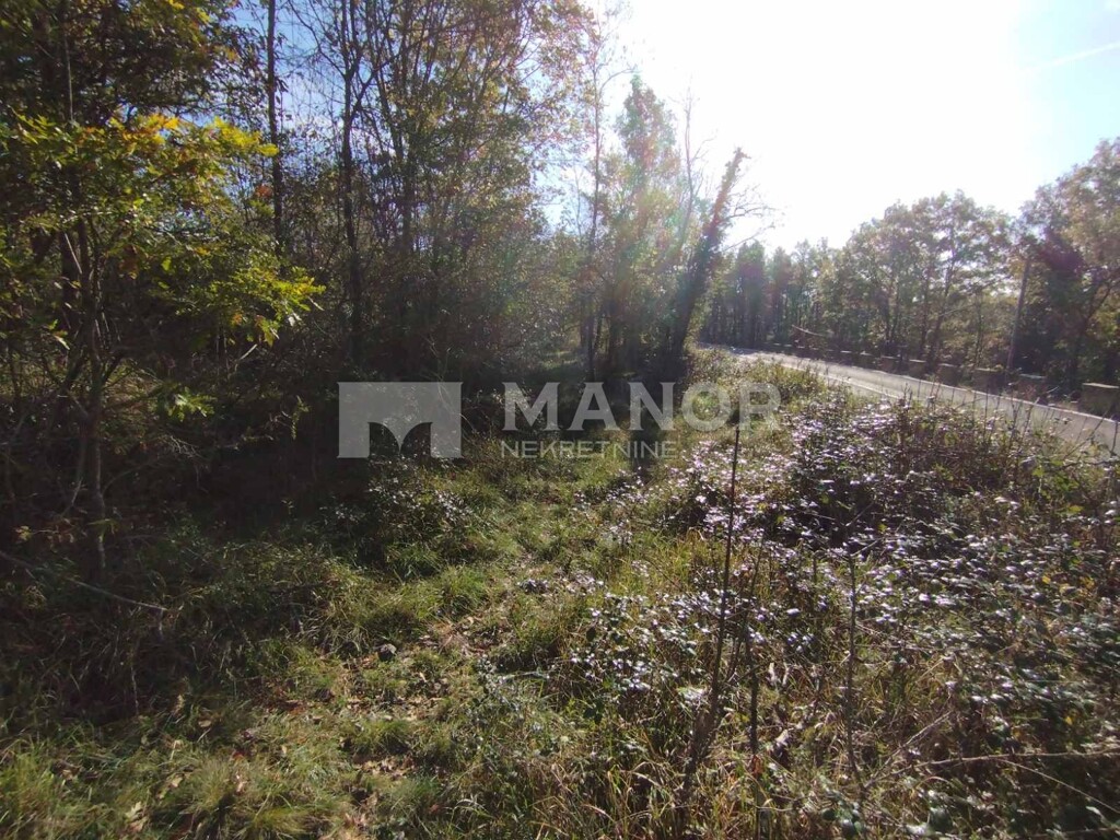 Image 9