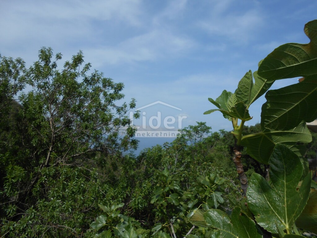 Image 22