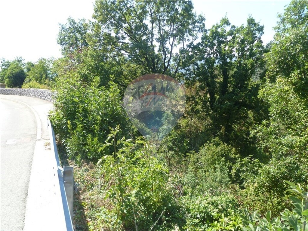Image 5411167 - 4