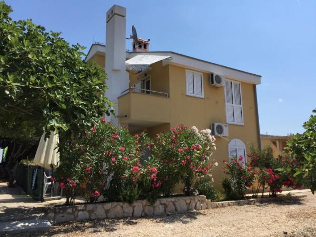 Image 3811524 - 1