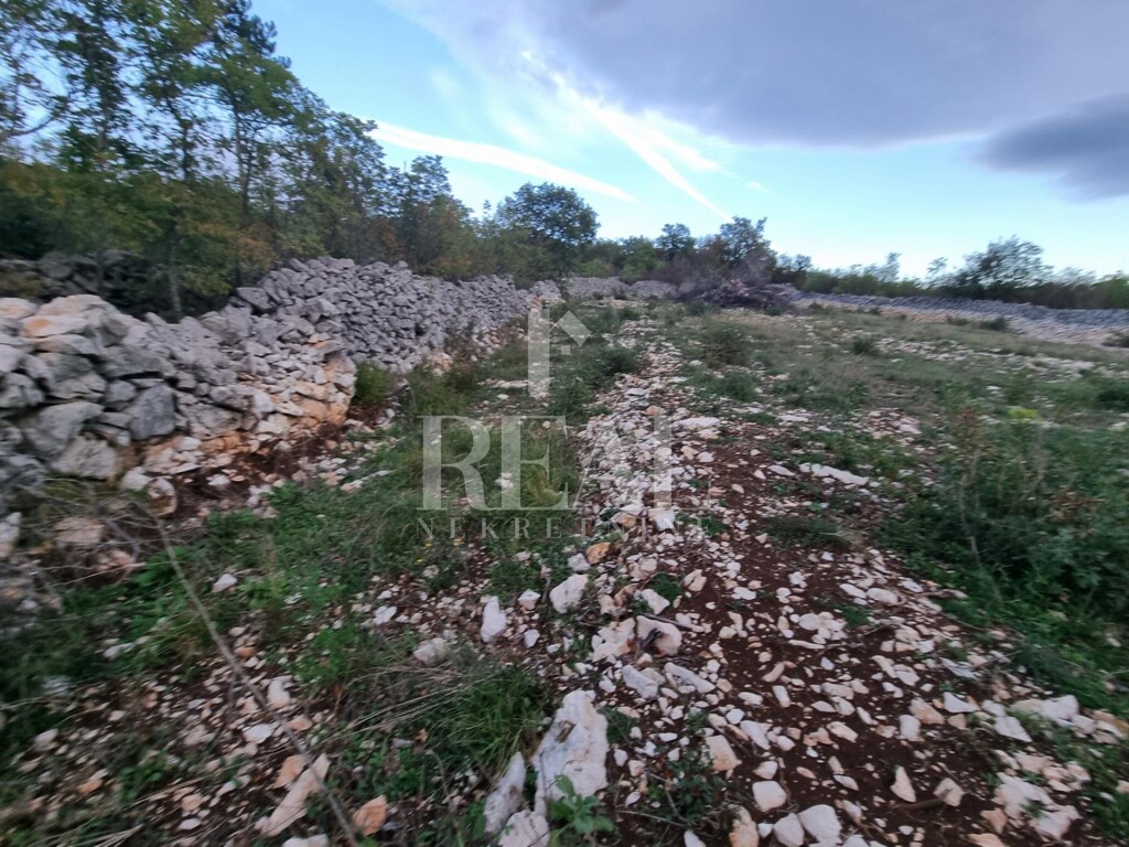 Image 13