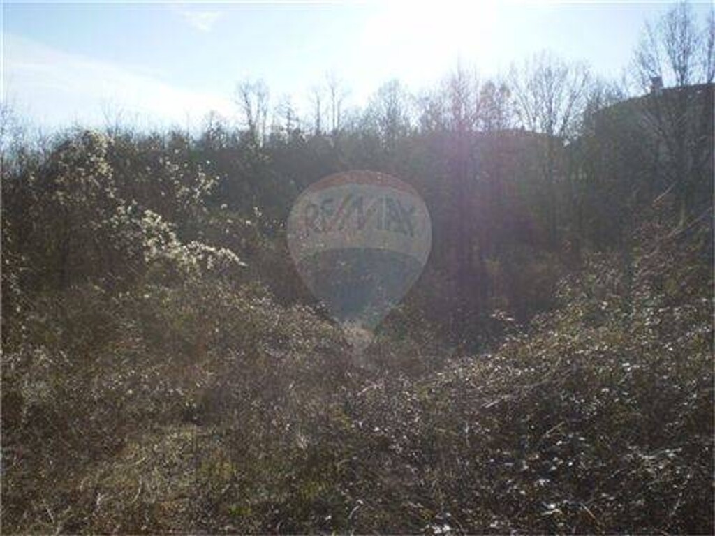 Image 5411382 - 1