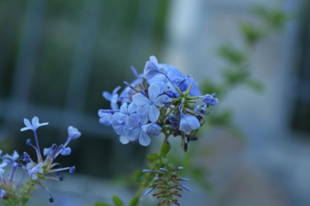 Image 3814371 - 15