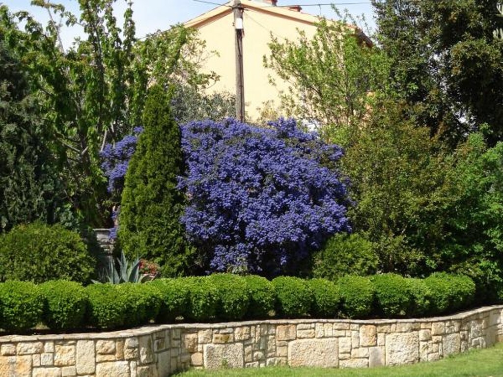 Image 3811578 - 7