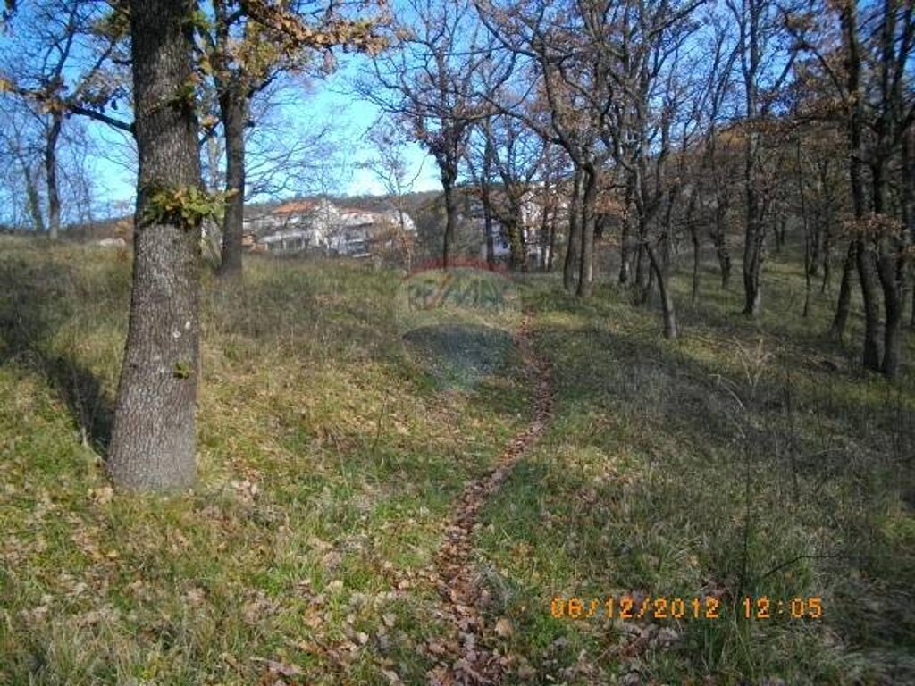 Image 5411245 - 4