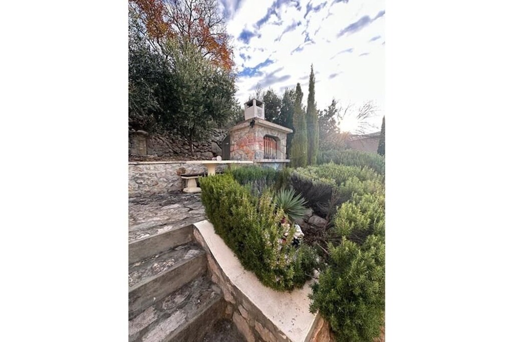 Image 13