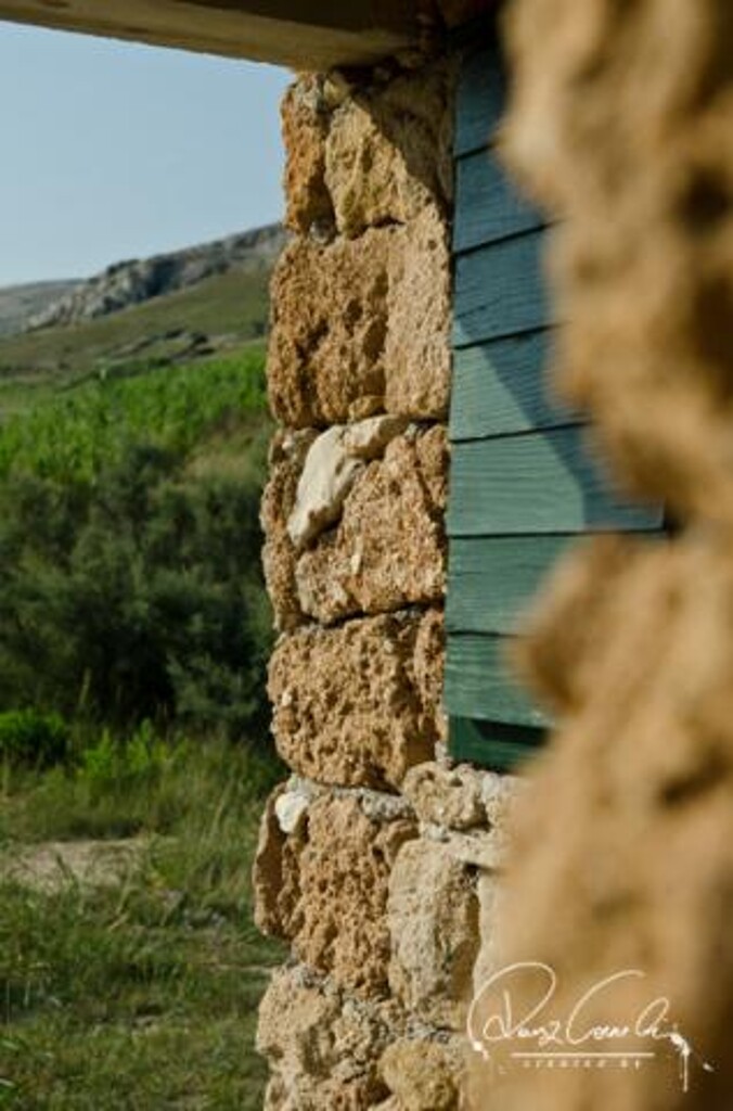 Image 3823622 - 12
