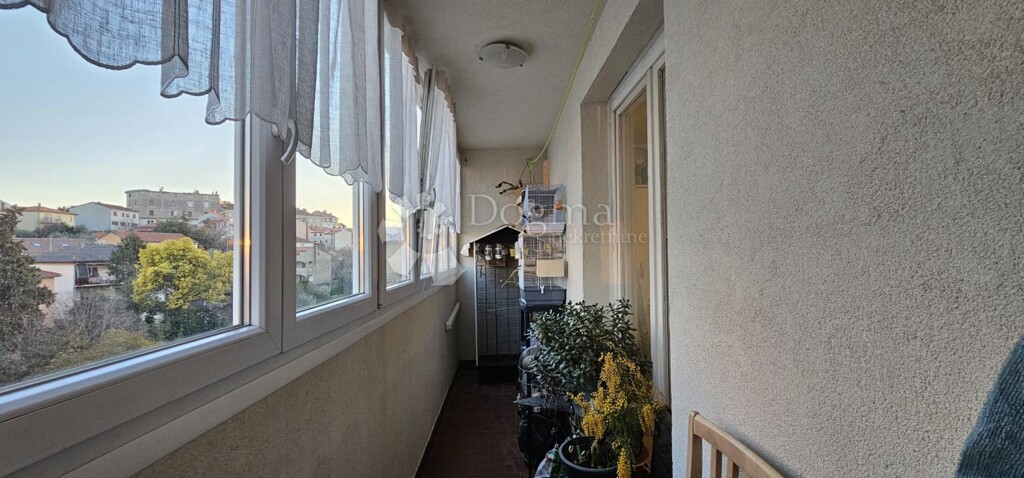 Image 6251424 - 5