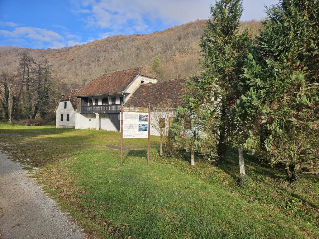 Image 10