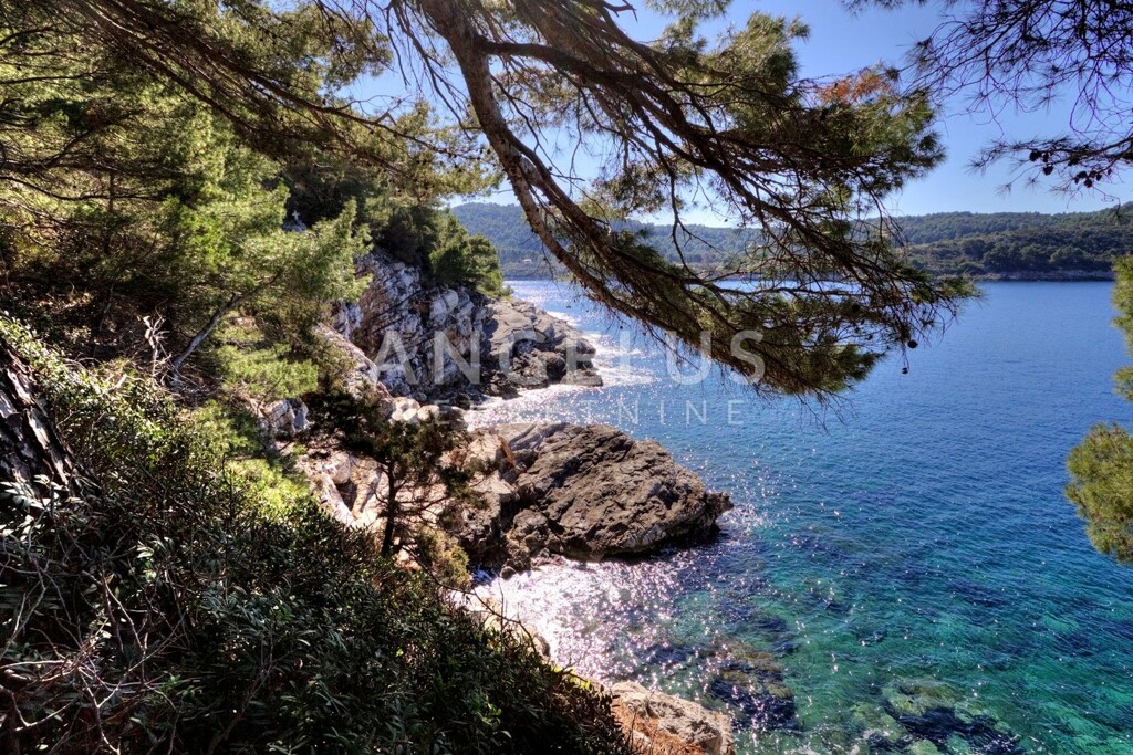 Image 12
