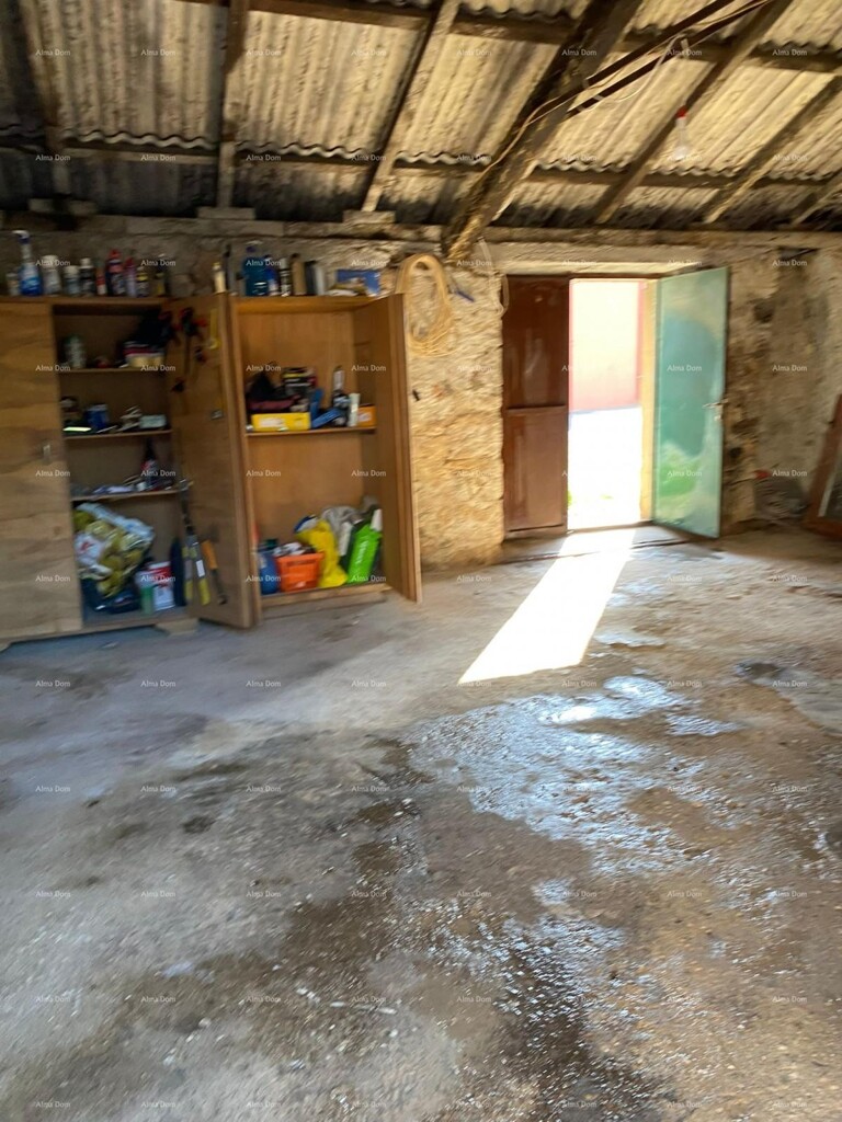Image 13