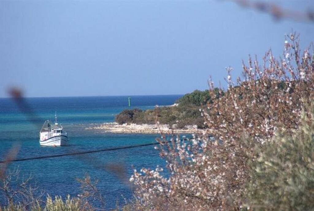 Image 3811479 - 25