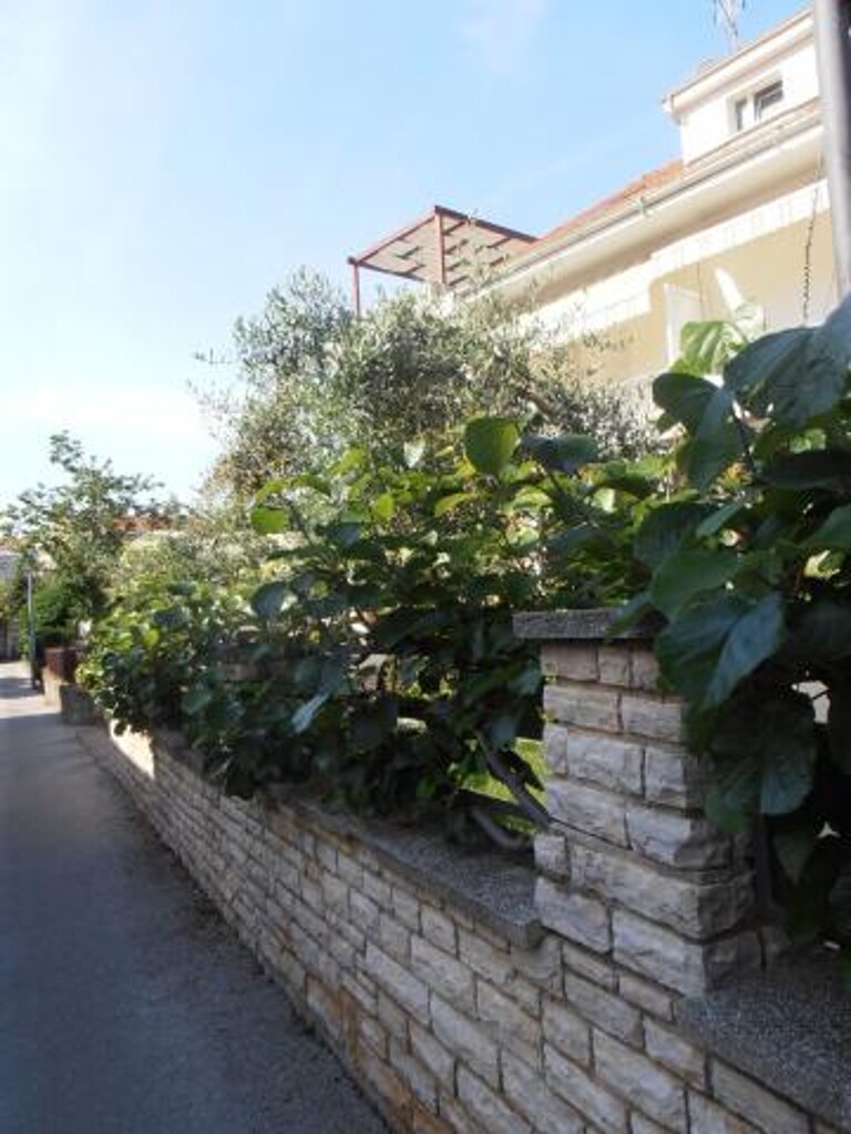 Image 3812085 - 4