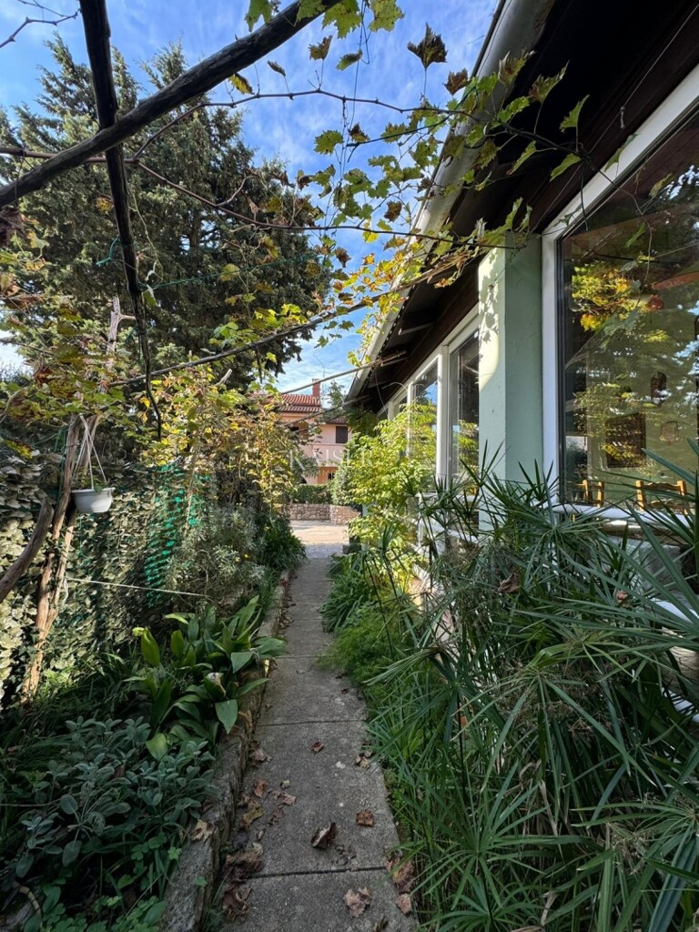 Image 20