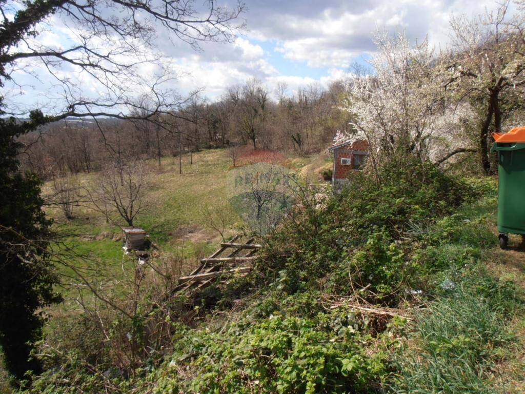 Image 5410890 - 2