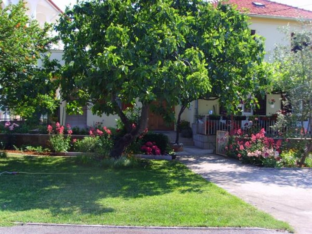 Image 3812459 - 1