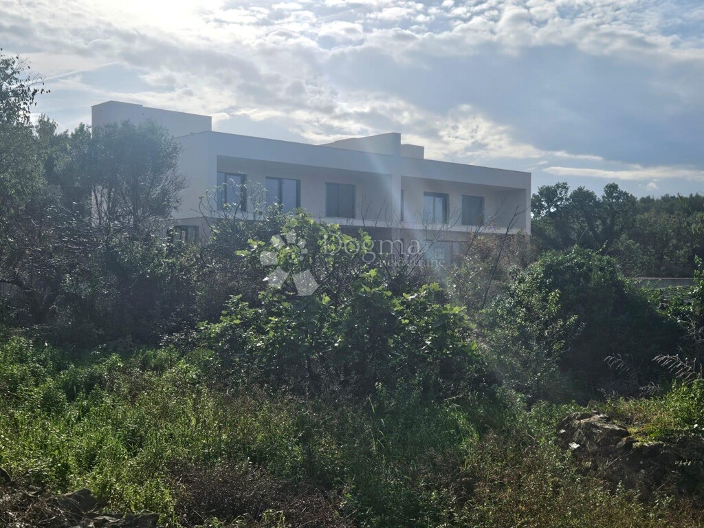 Image 14