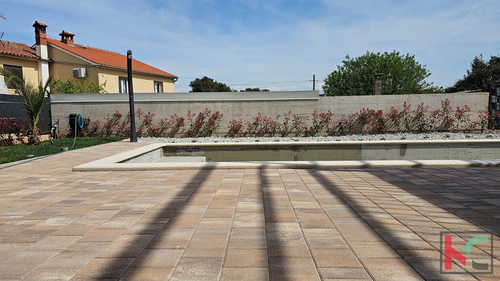Image 13