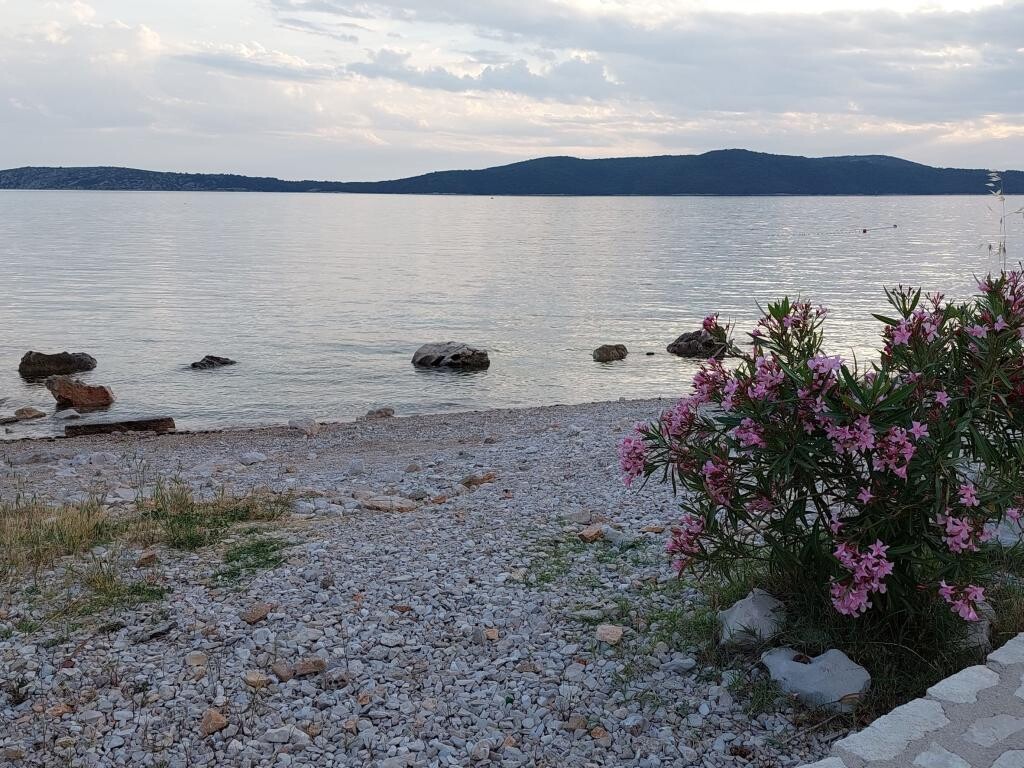 Image 3812819 - 9