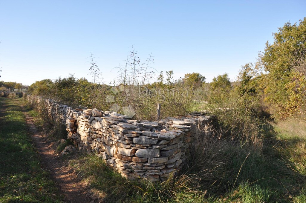 Image 18