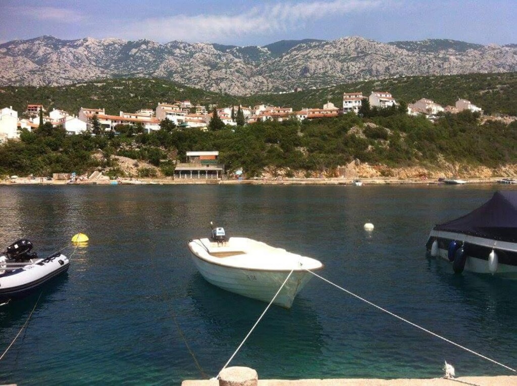 Image 7