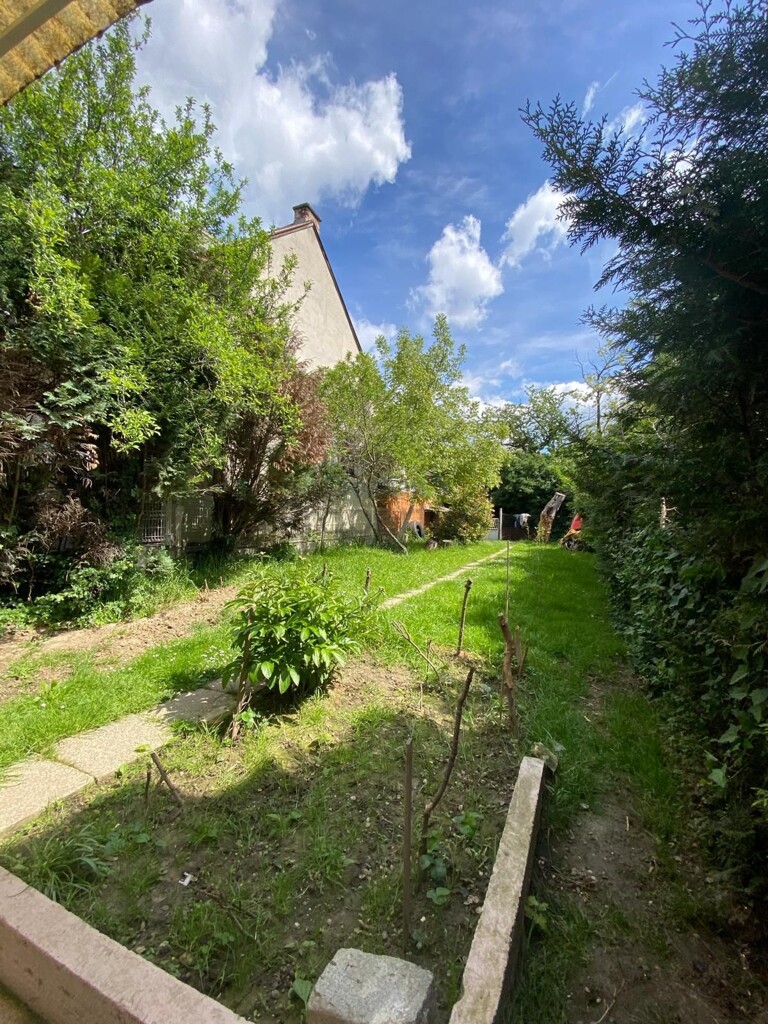 Image 14
