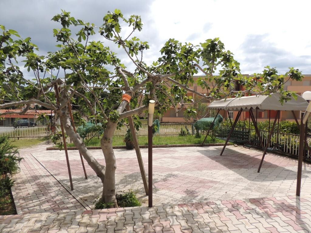 Image 3813747 - 26