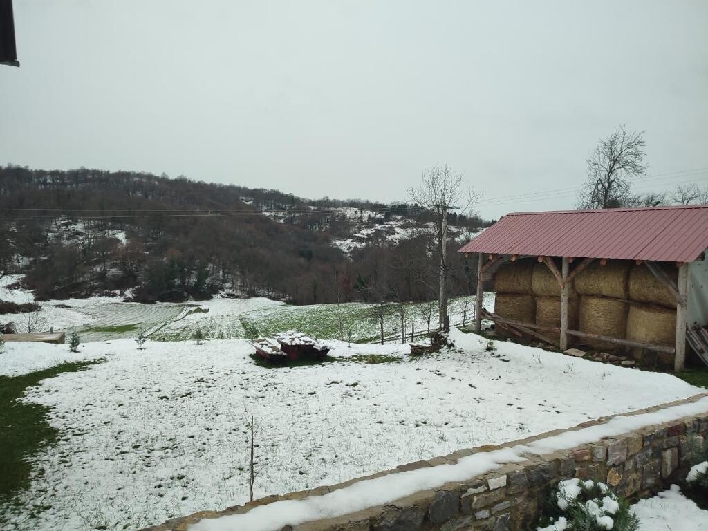 Image 15