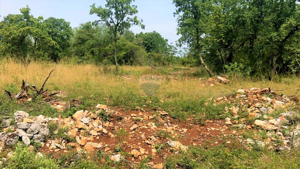 Image 14