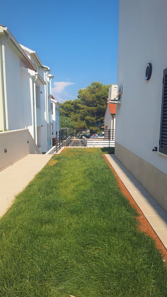 Image 10