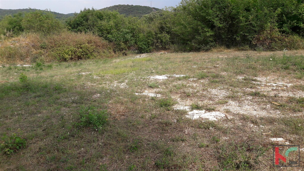 Image 13