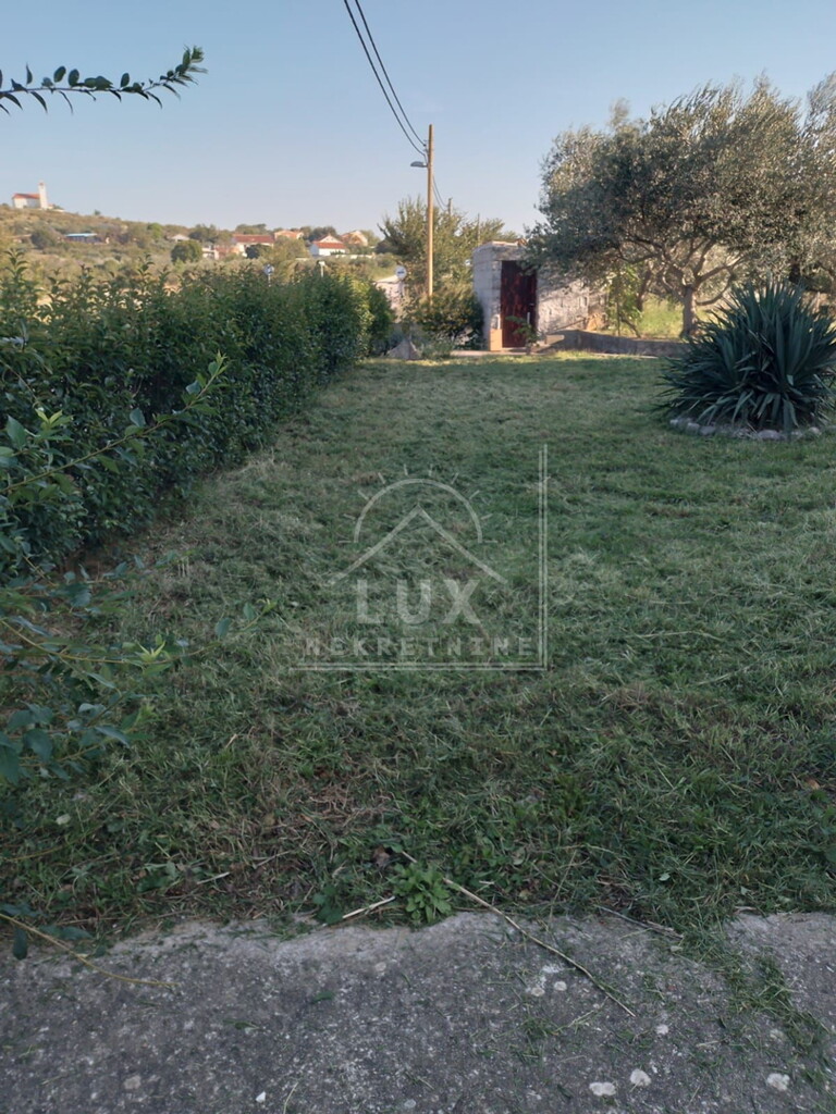Image 13
