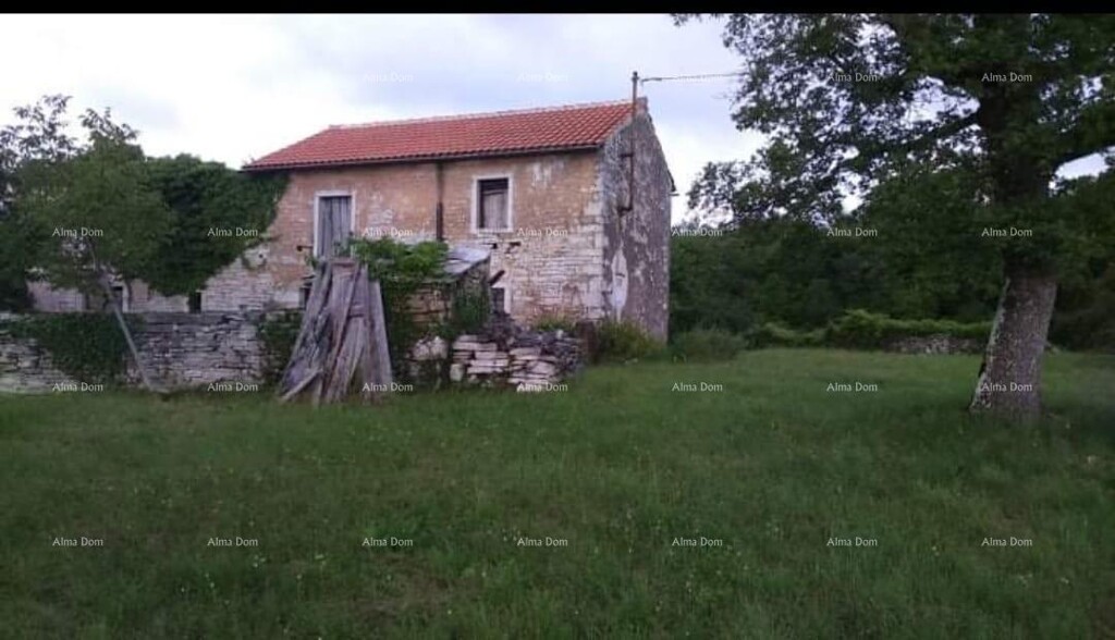 Image 10