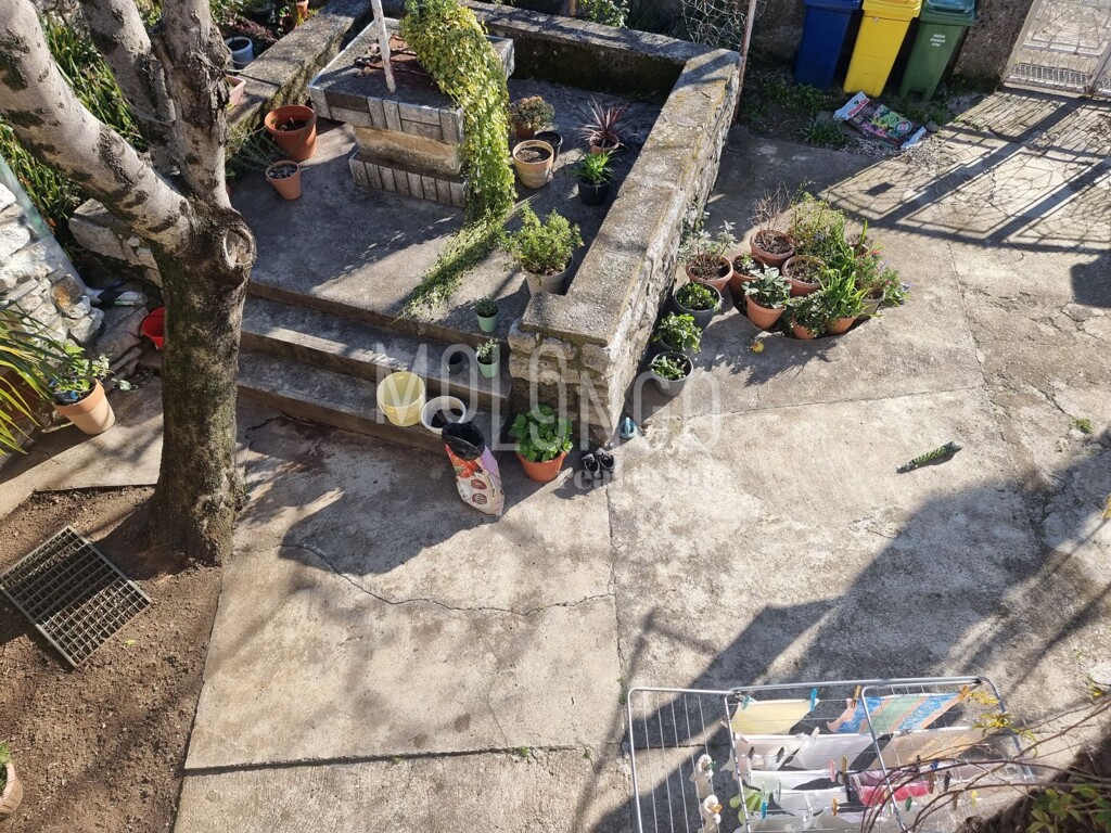 Image 13