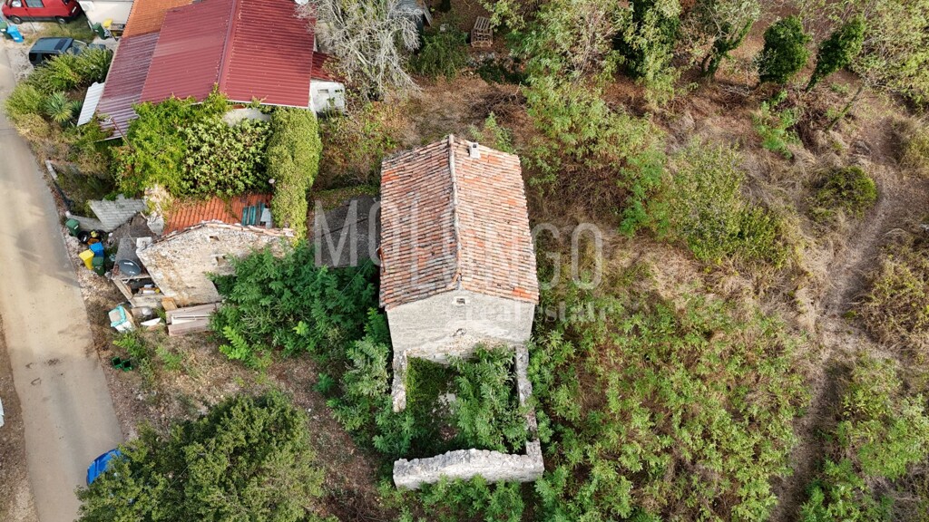 Image 6094516 - 4