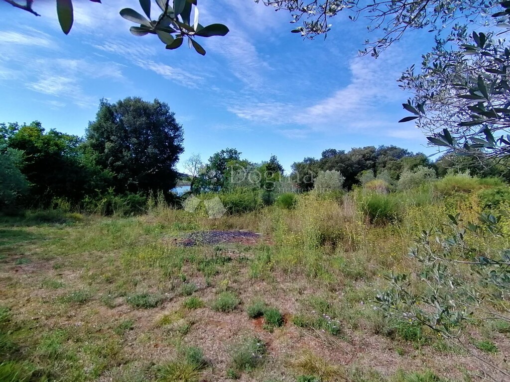 Image 18
