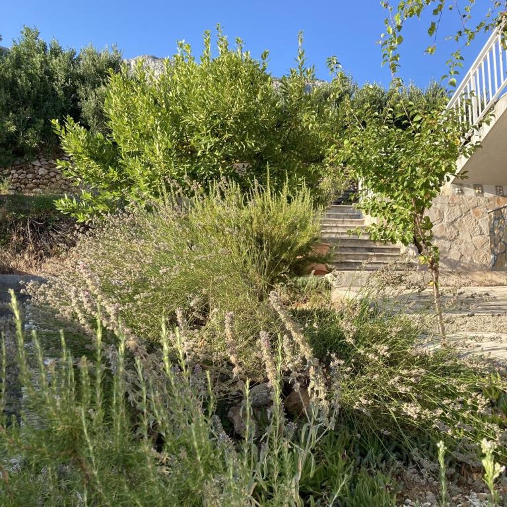 Image 3811833 - 22