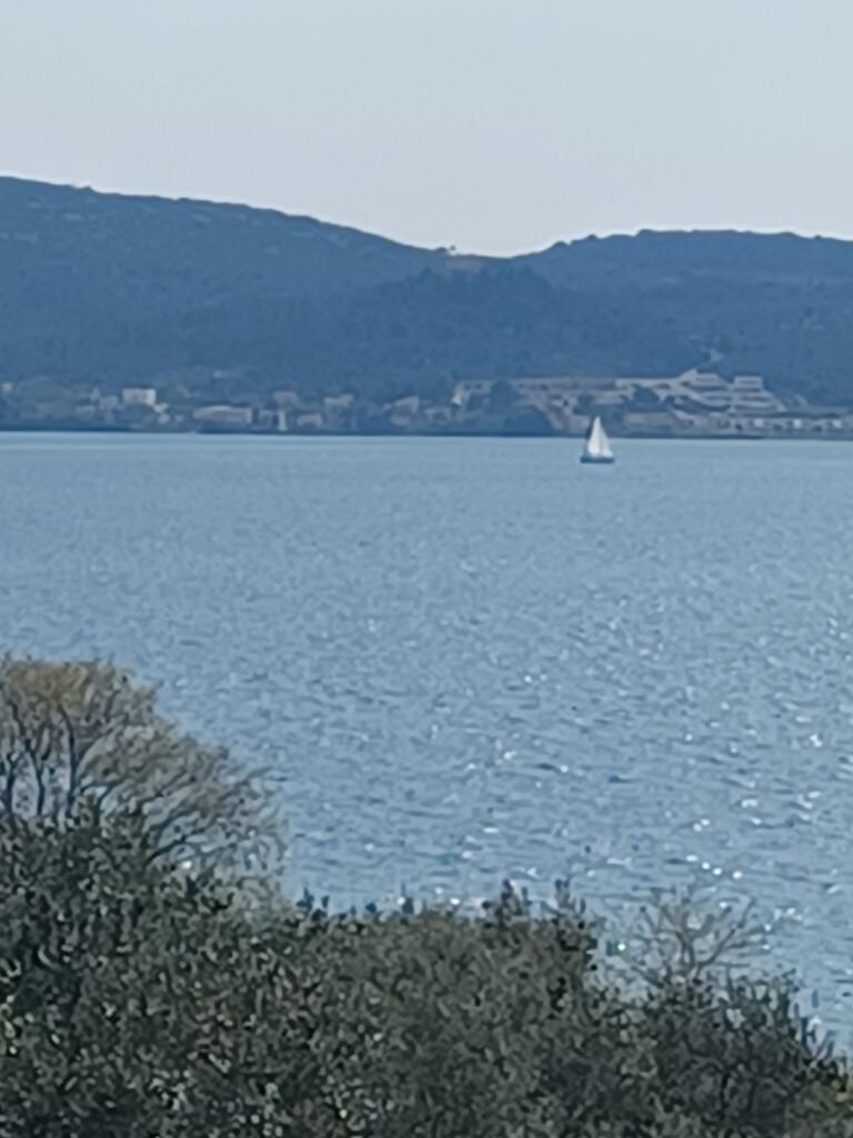 Image 30