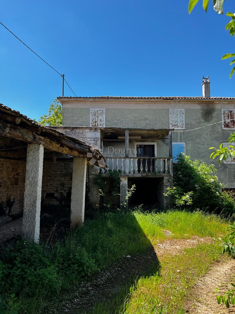 Image 12